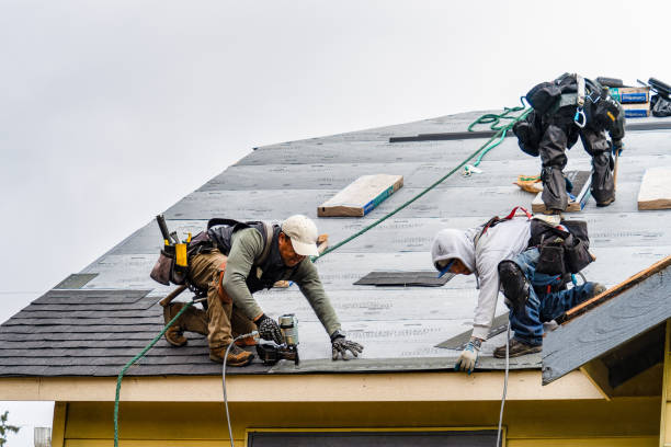 Professional Storm Damage Roof Repair technician working in Plainfield, IL